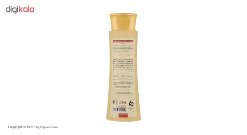 شامپو مو سینره مدل Wheat Germ حجم 250 میلی لیتر